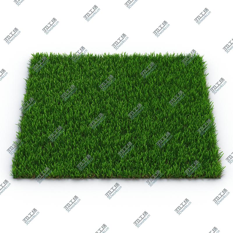 images/goods_img/2021040165/Zoysia Grass/2.jpg